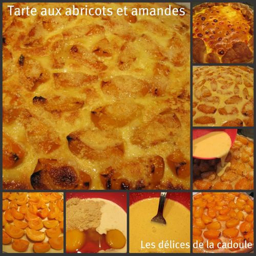 tarte-aux-abricots-et-amandes-les-delices-de-la-cadoule-ao.jpg