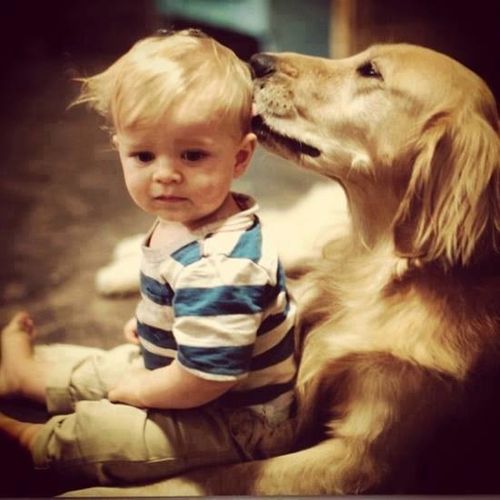 Résultat de recherche d'images pour "animaux et enfants"