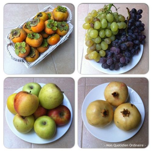 Fruits-d-Automne.jpg