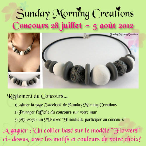 afficheconcours.png