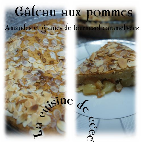 gateau-aux-pommes-2.jpg
