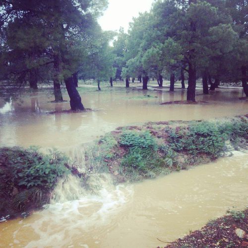 pluie-copie-1