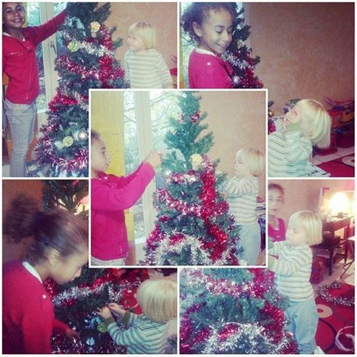 sapin