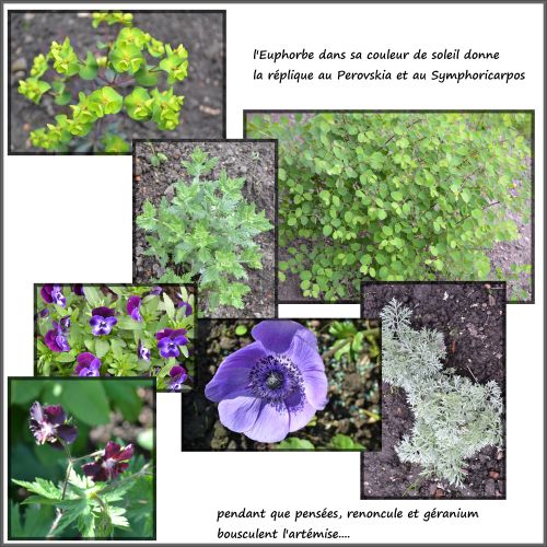 Montage-2-copie-1.jpg