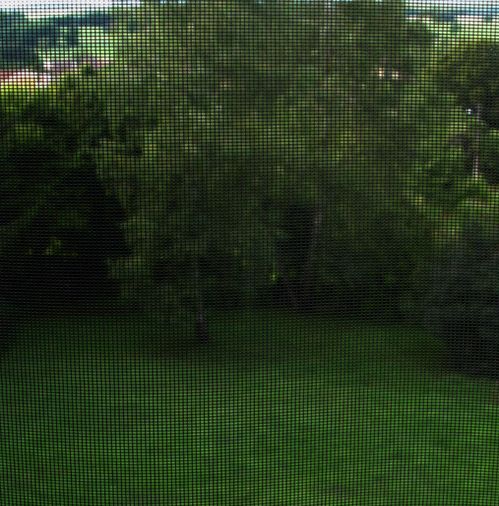 DSC08732.jpg