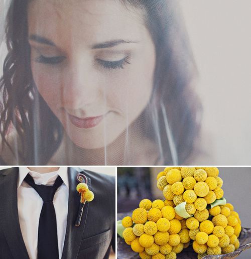 billy-balls-wedding