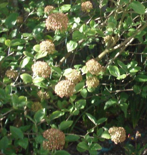 Photo-2222-155.jpg