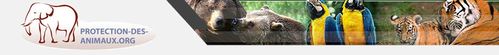 societe civile protection des animaux (2)