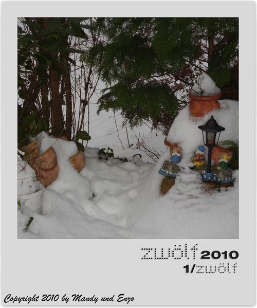 januar-2010