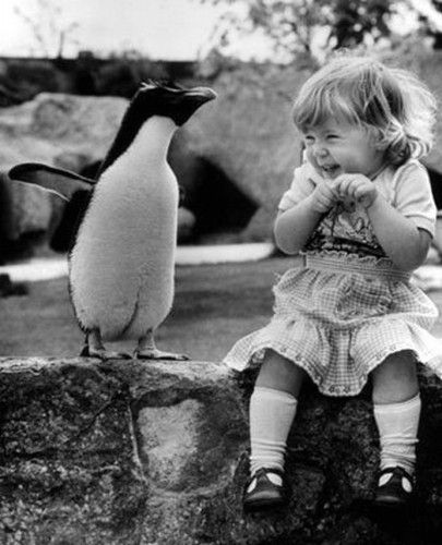 Le pingouin et la petite fille