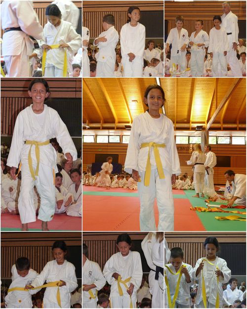 judo2 juin 2011