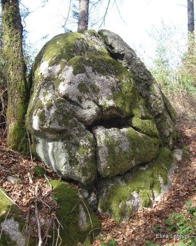 cassiope 0774