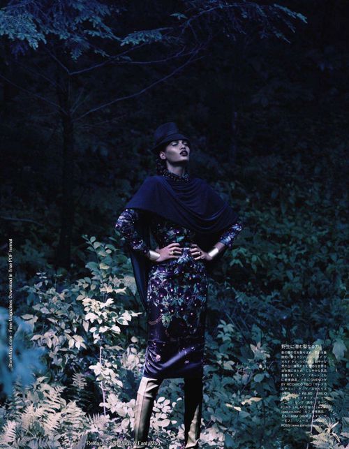 joansmallsvoguejapandecember20117.jpg