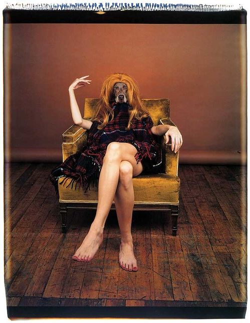 wegman-photo-001