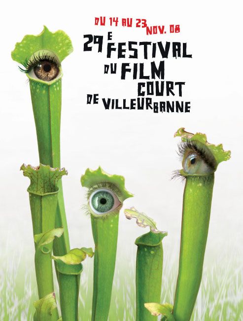 court villeurbanne 2005 b