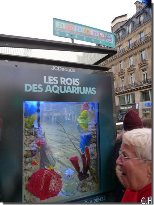 Decaux Aquarium 1