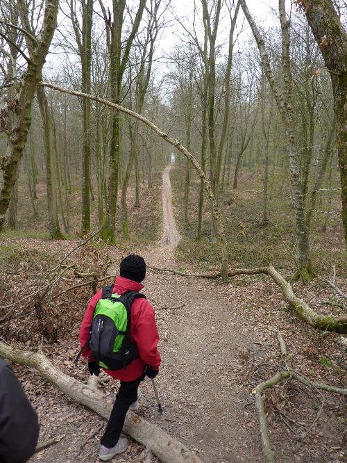 2012 04 Cuverville-sur-Yères 001 066