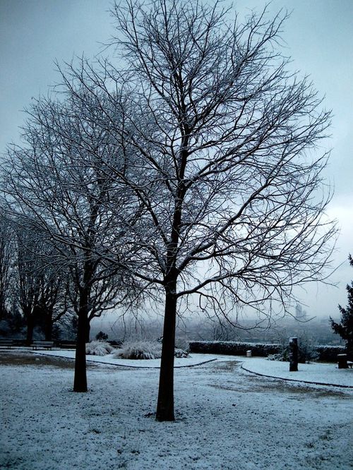 neige1