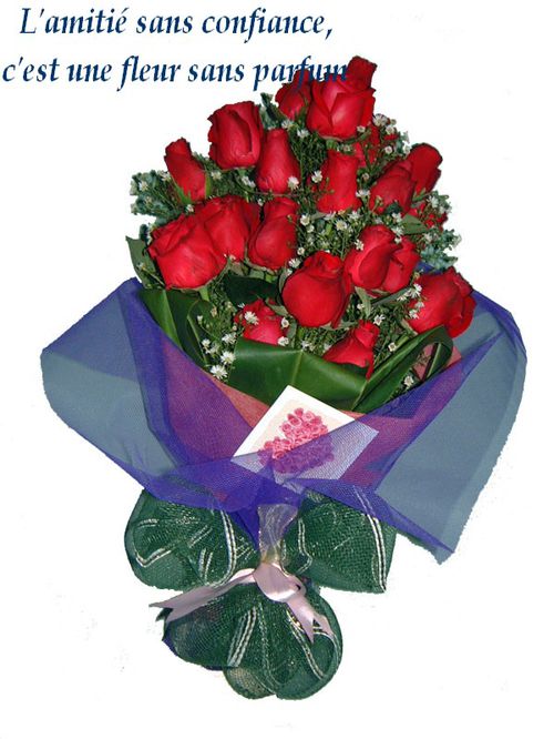 Bouquet-de-roses-rouge-et-amiti--sans-confiance.jpg