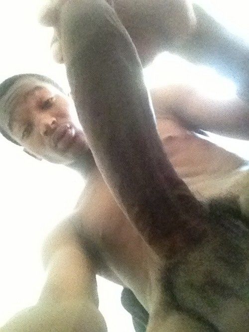 zob gros grosse bite de black gay zob gros grosse bite de black gay