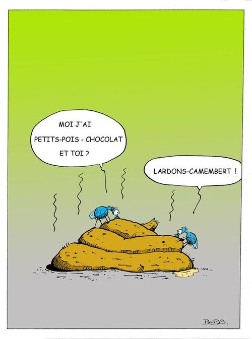 prendre la mouche Les-mouches-2