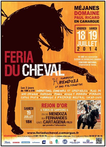 FDC2014-afficheFERIA BLG