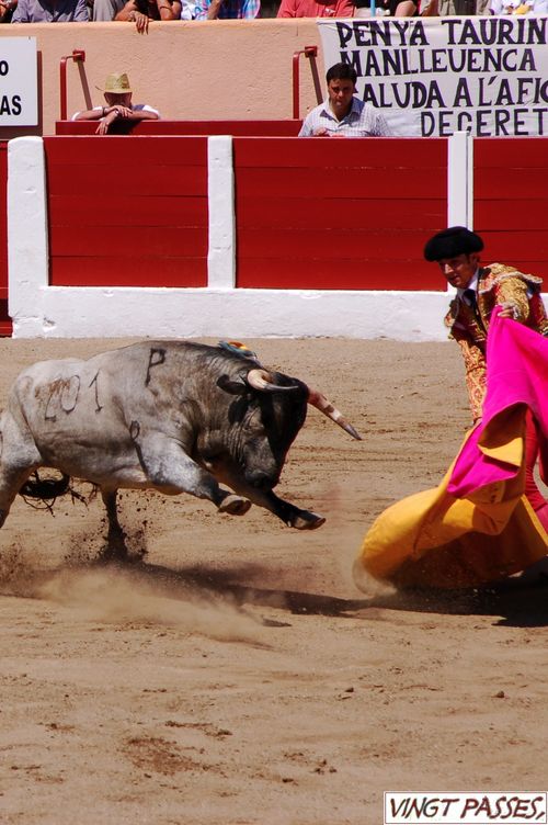 Ceret-2011---Irmaos 5414