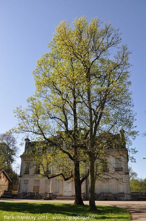 Château de Crissey
