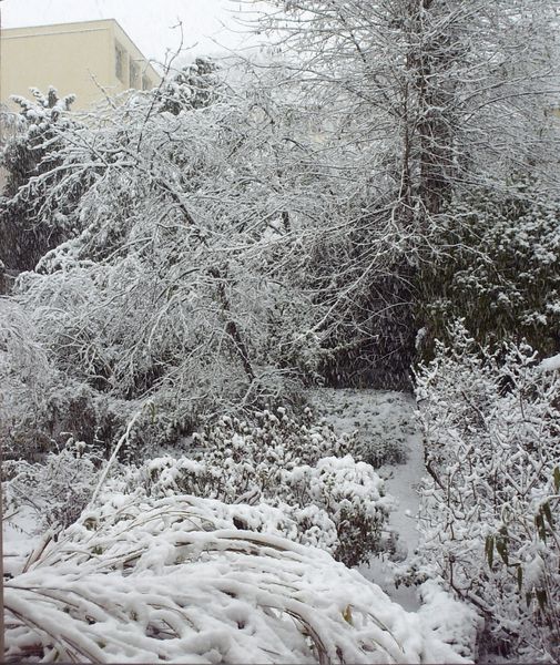 C'est l'hiver! 2