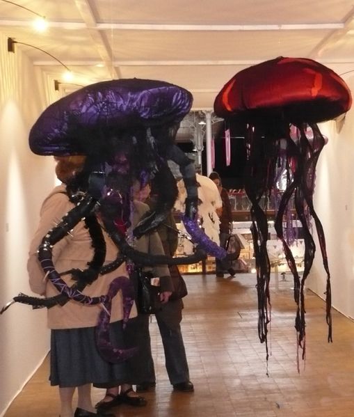 les-meduses-aig-fete-2011.jpg
