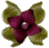 Image2 copie