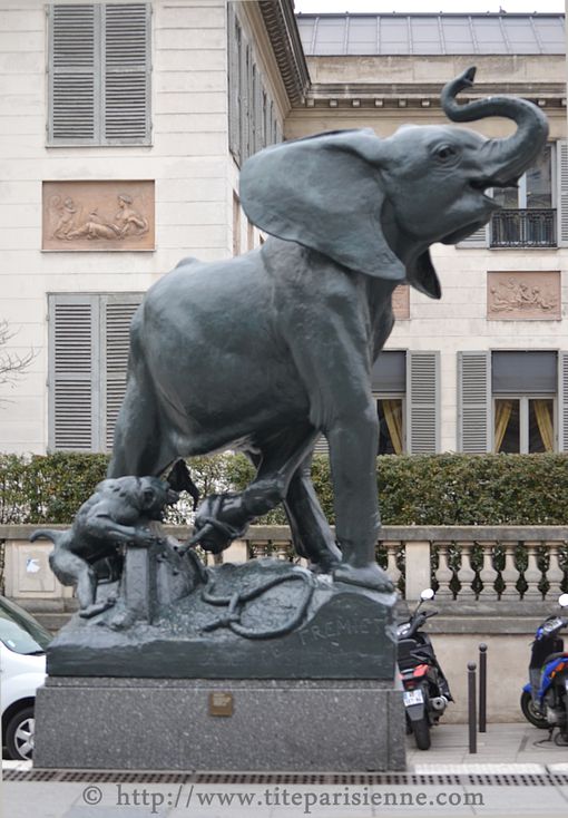 3 avril 2012 L'éléphant du Musée d'Orsay 1