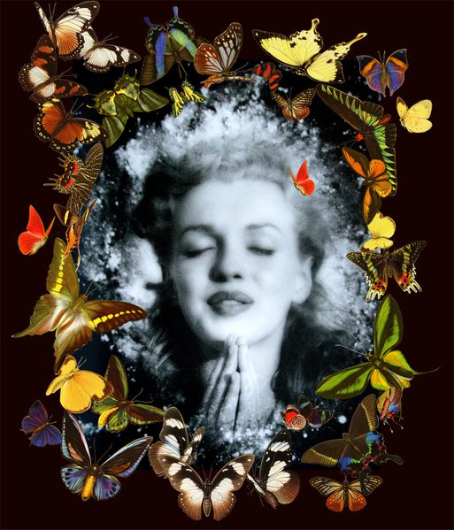 Marilyn-Monroe-butterfly.jpg