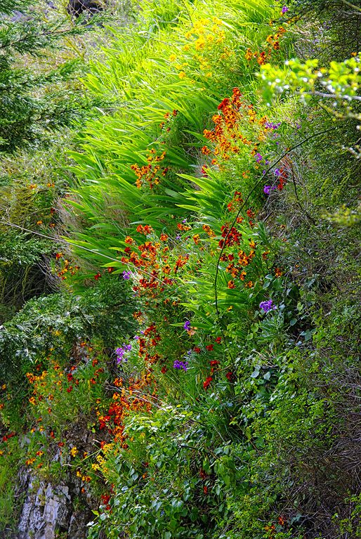 Cascade