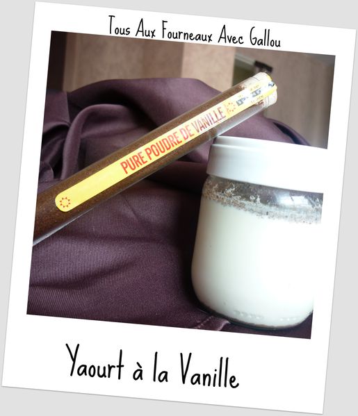 yaourt-a-la-vanille--2-.JPG