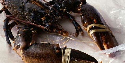 recette homard