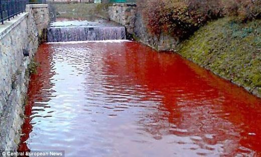 Du jour au lendemain une rivière devient rouge sang en Slovaquie Article_2517516_19CE2481000005