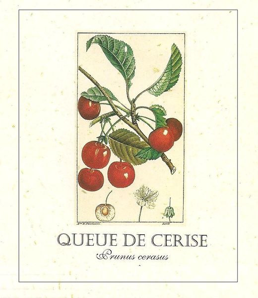 Cerises-2.jpg