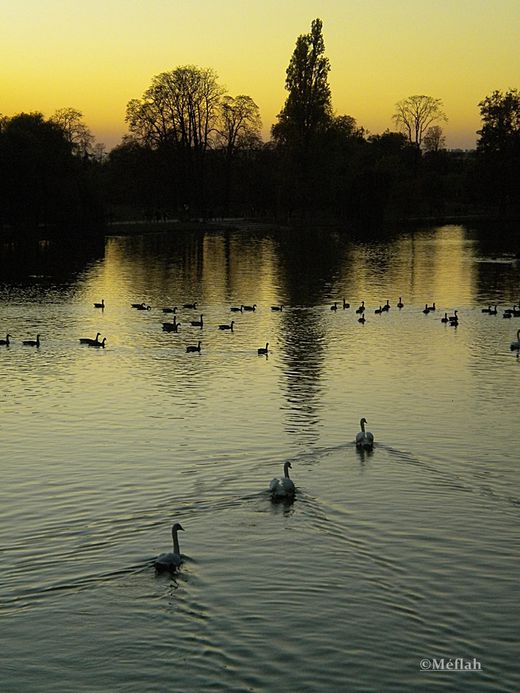 30 octobre 2011 coucher de soleil sur le lac Daumesnil 1