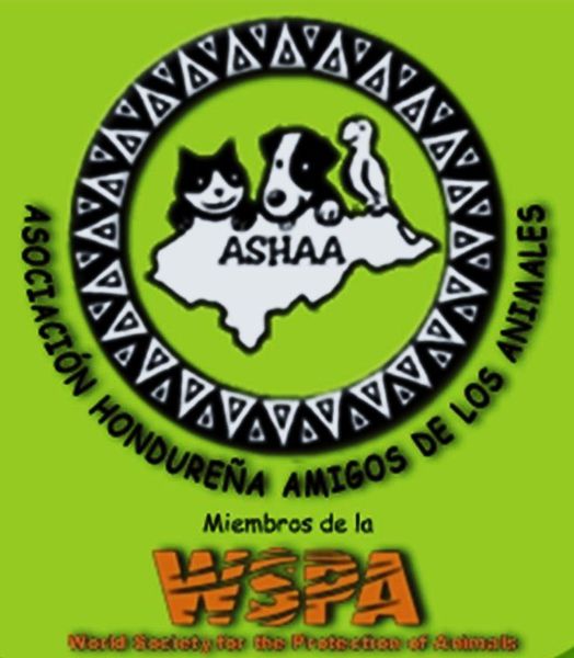 ASHAA-asociacion-hondurarena-amigos-de-los-animales-conexi.jpg