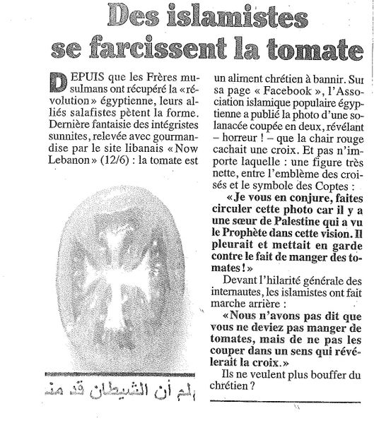 Sans-titre-1.jpg