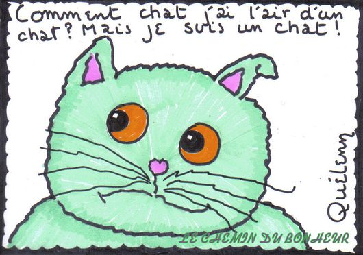 chat, dessin humour, dessin-d-un-chat-chat.jpg