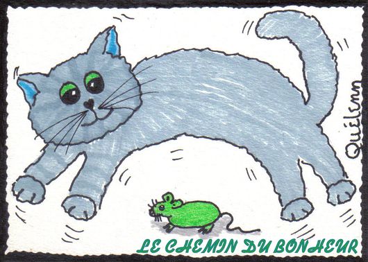 le-chat-saute-un-repas.jpg