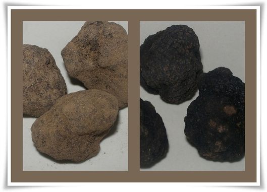 TRUFFES-DIAMANT-NOIR.jpg