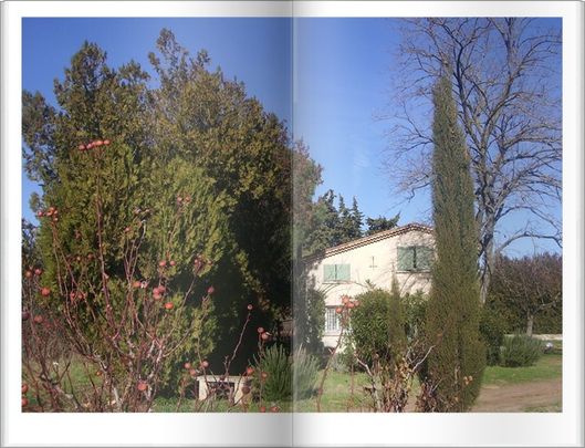 Provence en Janvier