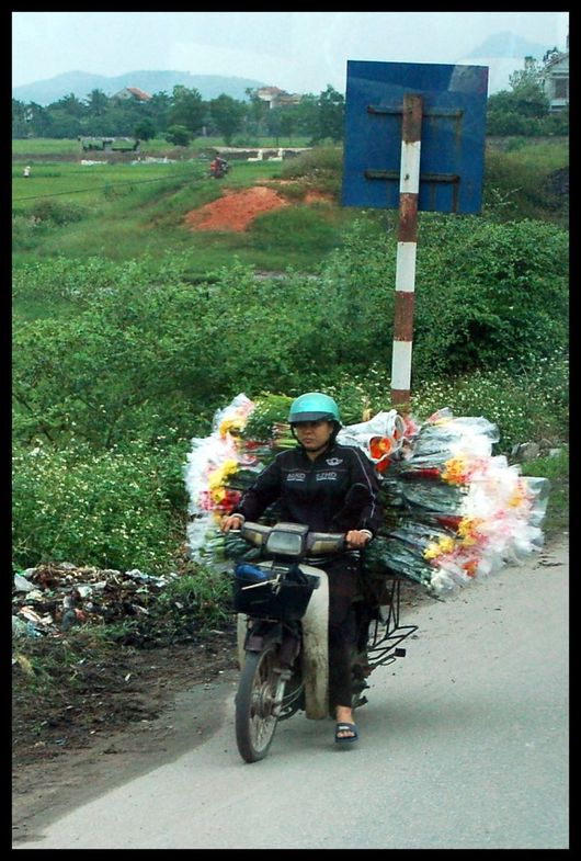 Vers le marché - vietnam