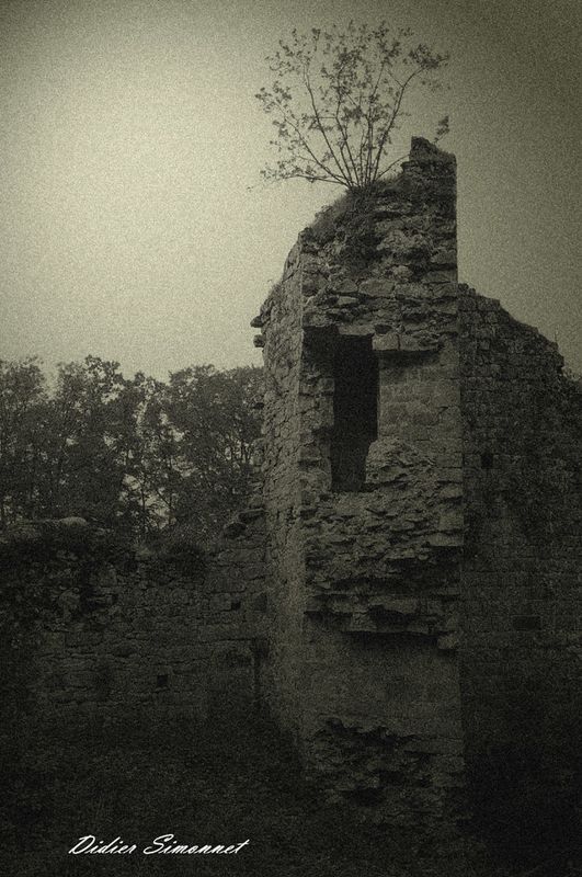 MONTAIGUILLON-----.JPG