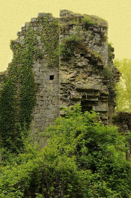 MONTAIGUILLON-.JPG
