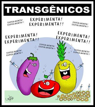 transgenicos-3.jpg