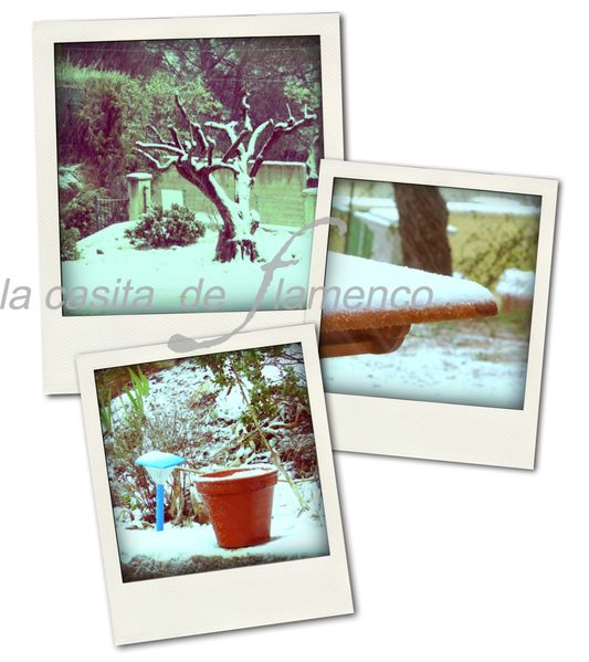 9janv10_neige.jpg